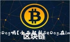 imToken支持SeDog吗？全面解