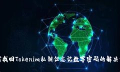 如何找回Tokenim私钥但忘记