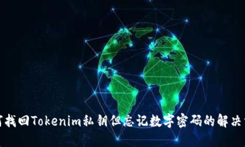 如何找回Tokenim私钥但忘记数字密码的解决方案