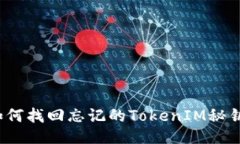 如何找回忘记的TokenIM秘钥