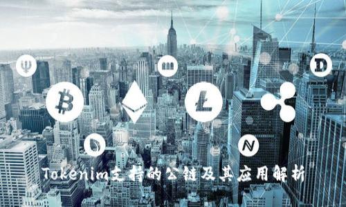 Tokenim支持的公链及其应用解析