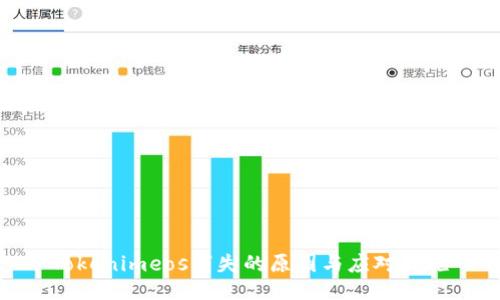Tokenimeos消失的原因与应对措施