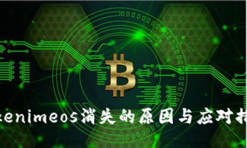 Tokenimeos消失的原因与应对措施