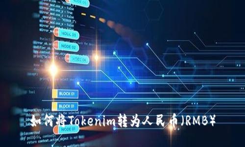 如何将Tokenim转为人民币（RMB）