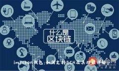 imToken钱包：如何支持BCH及