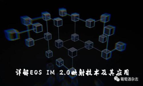详解EOS IM 2.0映射技术及其应用