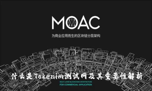 什么是Tokenim测试网及其重要性解析