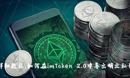 详细教程：如何在imToken 2.0中导出明文私钥
