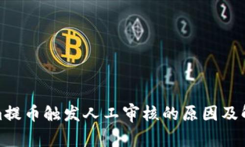 Tokenim提币触发人工审核的原因及解决方案